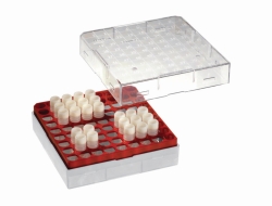Search Ratiolab GmbH (4937)-Cryo Boxes with grids, 132 x 132, PC