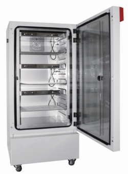 Search Growth chambers, KBW, KBWF series BINDER GmbH (2720) 