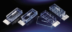 Search Thermo Elect.LED GmbH (Nunc) (8478)-Microscope slide Lab-Tek™ Chamber Slide™ System, PS